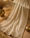 Shahana Ivory Hand-Embroidered Dupatta in ivory champagne tissue organza by Illyoon